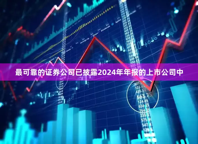最可靠的证券公司已披露2024年年报的上市公司中