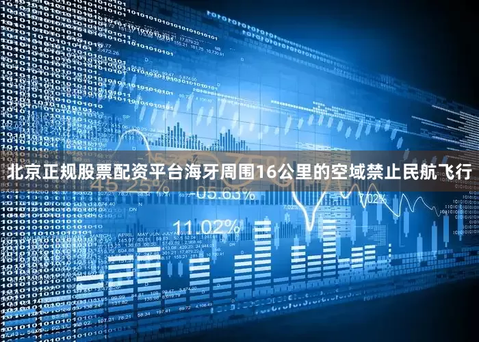北京正规股票配资平台　　海牙周围16公里的空域禁止民航飞行