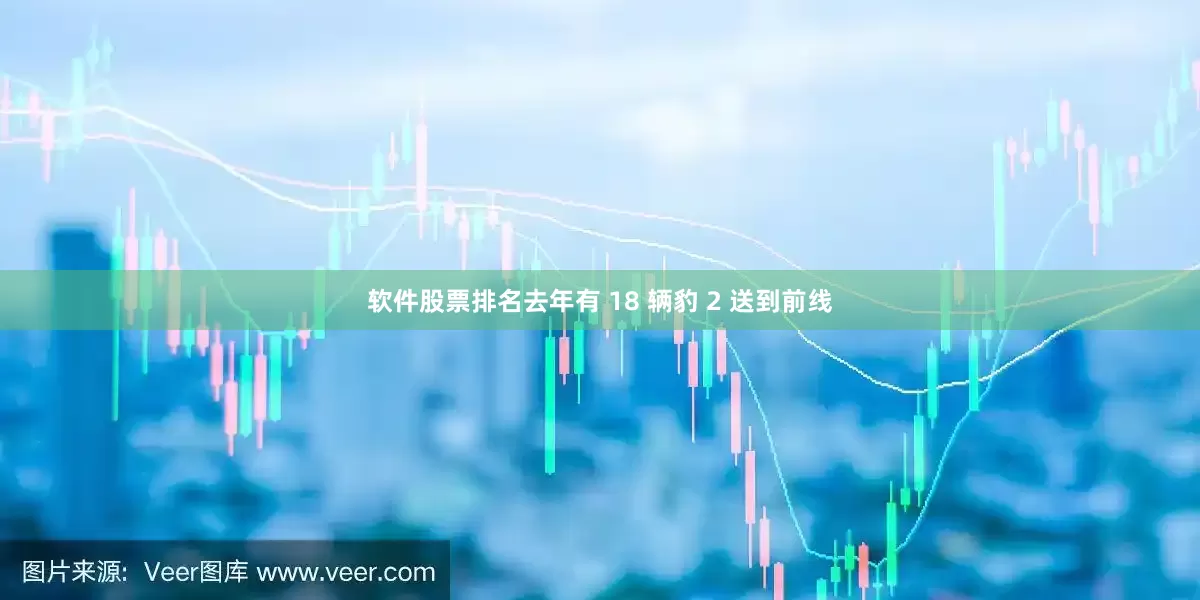 软件股票排名去年有 18 辆豹 2 送到前线